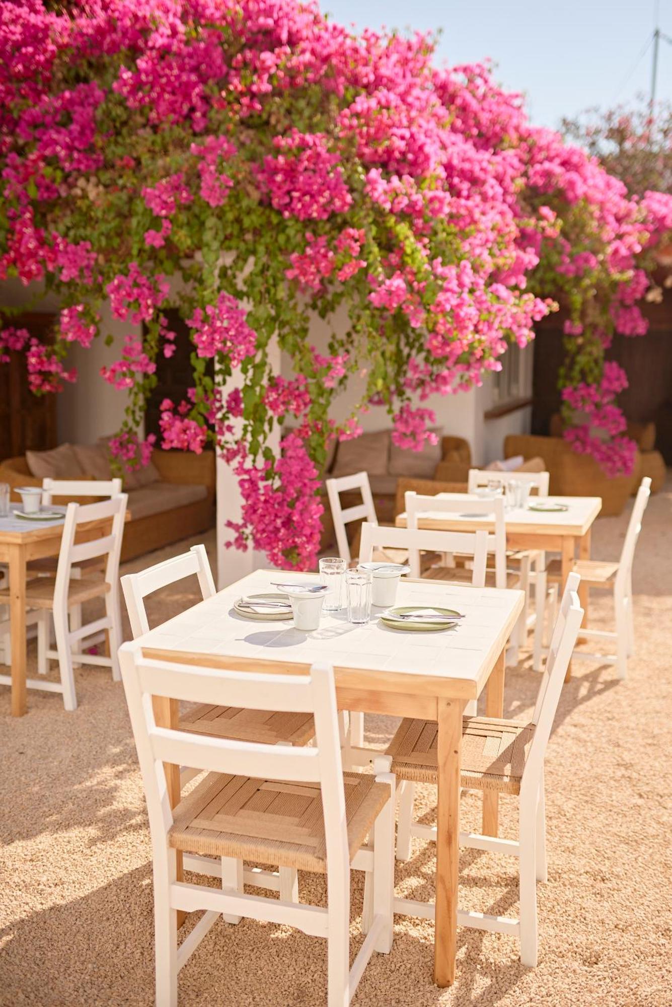 Ibara Ibiza Hotel Boutique Es Cana Exterior foto